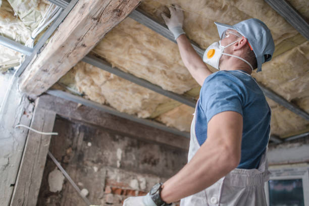 Best Eco-Friendly Insulation in Monticello, IA