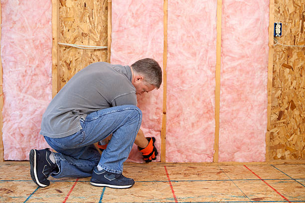Best Insulation Maintenance and Repair in Monticello, IA